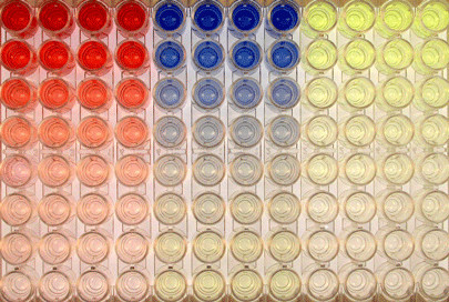 酶聯免疫吸附測定（ELISA）常見問題解析